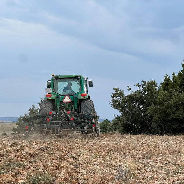 Vinos Eterno Bramante plantaciones 